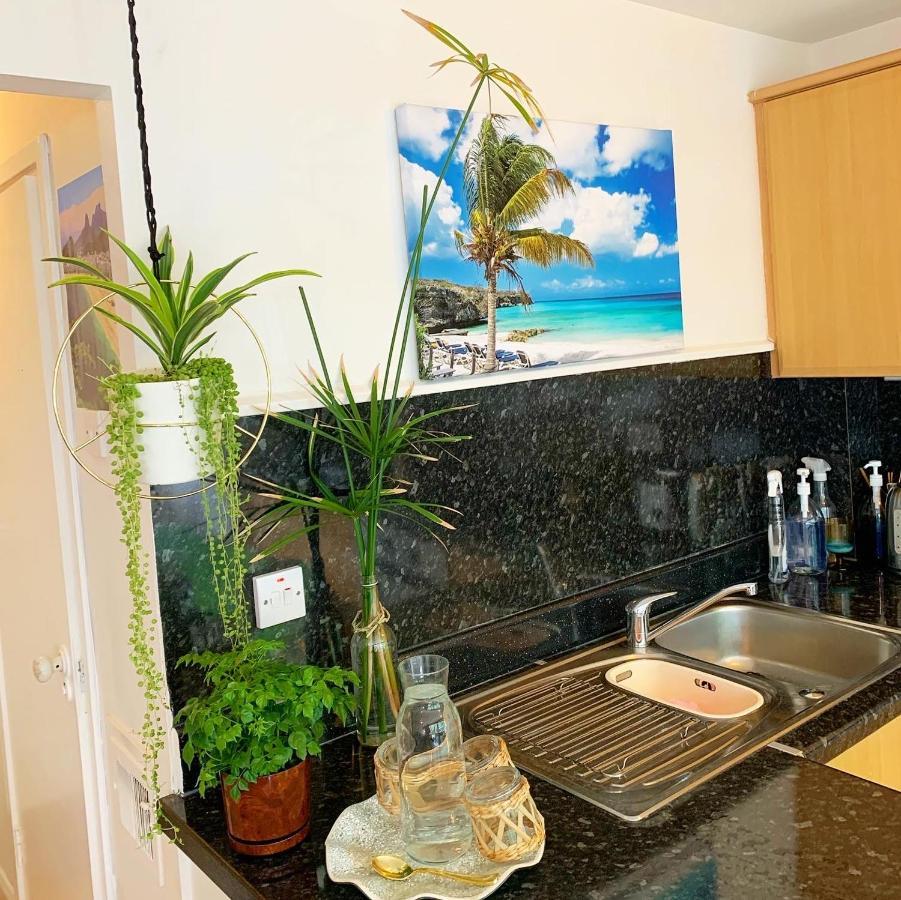 Garden Beautiful Cozy Flat , Recent Decorated. Leilighet London Eksteriør bilde