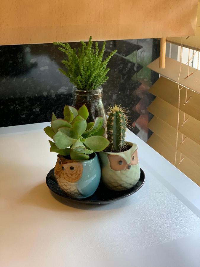 Garden Beautiful Cozy Flat , Recent Decorated. Leilighet London Eksteriør bilde